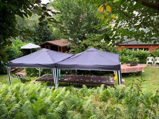 Hotel Sonnenhof Bad Wildbad Ngoại thất bức ảnh